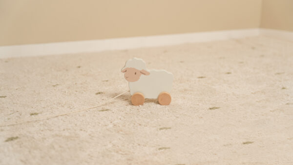 Pecora trainabile Little Farm FSC